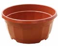 Nowa miska chryzantemowa z grodziami 21cm - 100szt