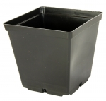 Doniczka produkcyjna kwadratowa 13x13/13cm - 1,5L - 200szt