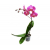 Doniczka przeźroczysta do storczyka, orchidei  15cm - 10szt.