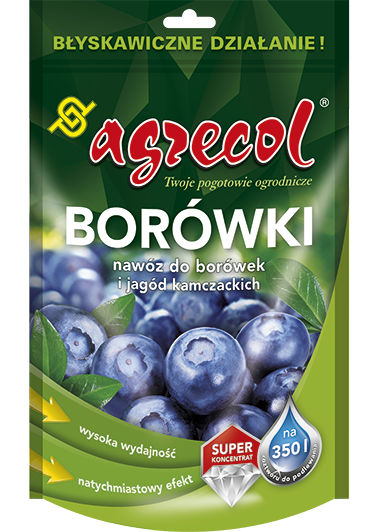 Jak rozpoznać przesuszenie bryły korzeniowej w doniczce i prawidłowo nawodnić podłoże?