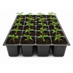 Doniczkopaleta DP 61/30 – paleta rozsadowa 30 komórek do produkcji sadzonek