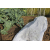 Agrowłóknina gruba biała - zimowa - 1,6x5m 50g/m2