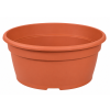Miska chryzantemowa produkcyjna 21 cm