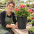 Wizualizacja reklamowa AI — przykład zastosowania doniczki; roślina i dekoracje nie są częścią produktu