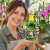Agrecol – Nawóz do storczyków – organiczno mineralny 350 ml — grafika reklamowa Agrecol – Nawóz do storczyków – organiczno mineralny 350 ml — grafika reklamowa