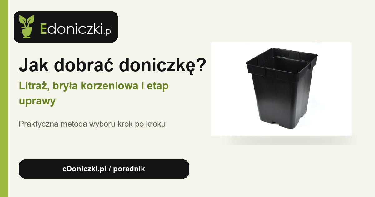 Jak dobrać doniczkę? Litraż, bryła korzeniowa i etap uprawy