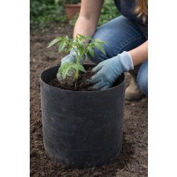 Opaski spinane doniczki paski 20x20cm – pomidor papryka