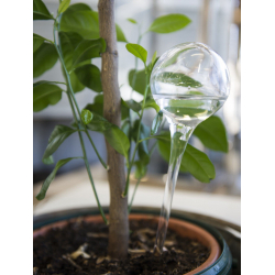 Szklany nawadniacz dozownik wody do roślin domowych 400ml