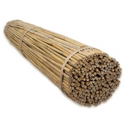 Tyczki bambusowe - bambusy - 8-10mm 90cm - 20szt.